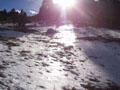 sunlight and snow.jpg
